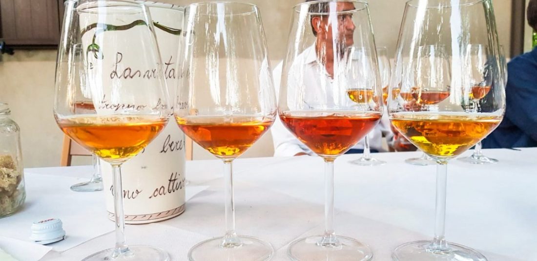degustazione di albana arcaica di paolo francesconi