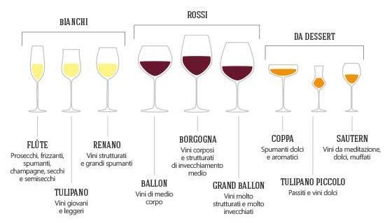 guida bicchiere da vino